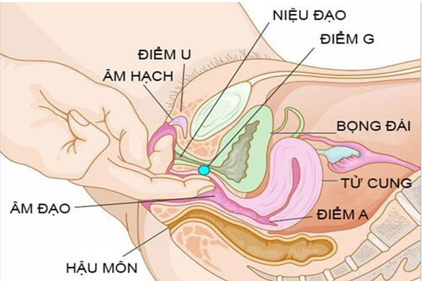 Hướng Dẫn 5 Bước Quan Hệ Bằng Tay Khiến Nàng Say Mê