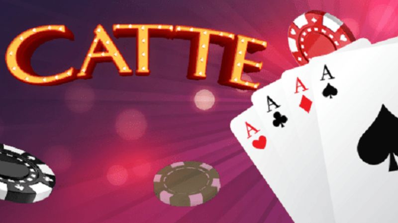 Hướng Dẫn Cách Chơi Bài Catte 6 Lá Chi Tiết Cho Các Tân Binh